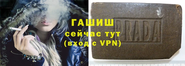 индика Покачи