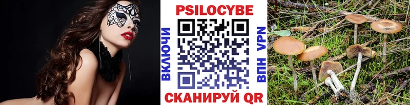 Псилоцибиновые грибы мицелий  Звенигород 
